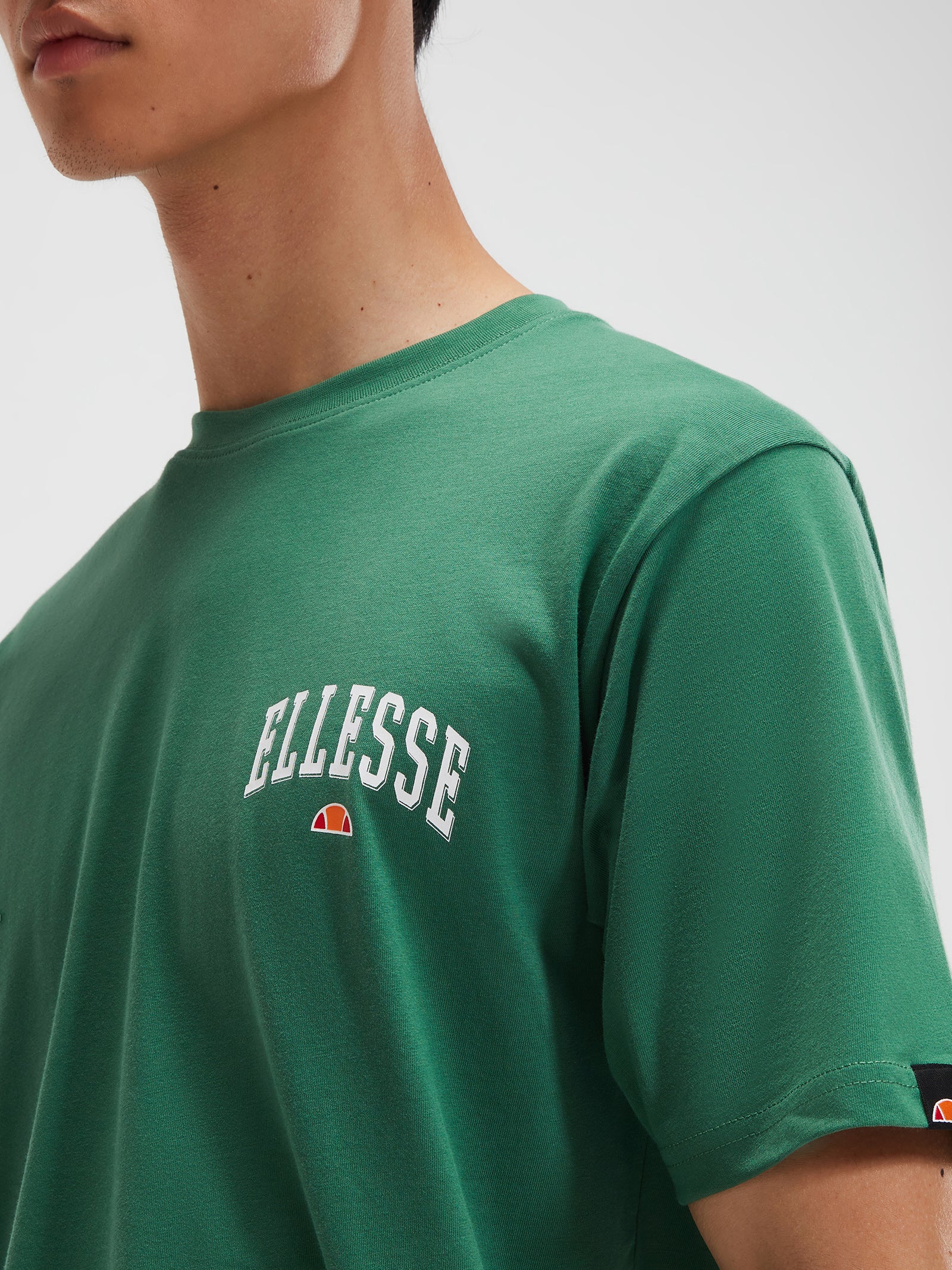 Harvardo T-Shirt In Green