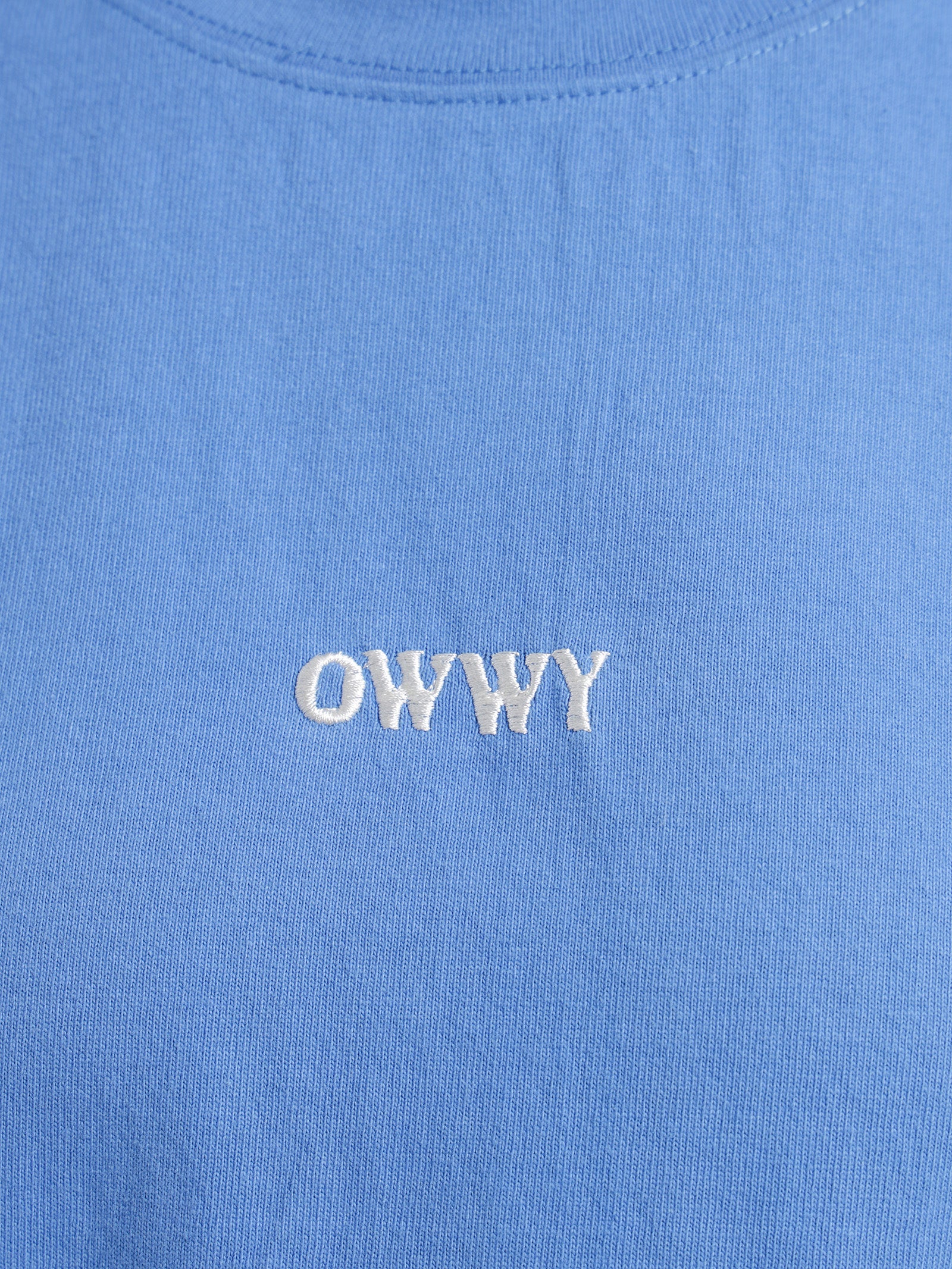 Heavyweight Logo T-Shirt in Azure