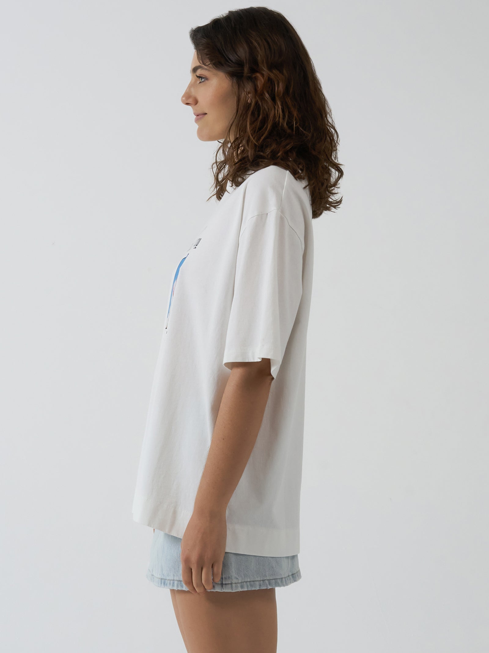 Cultivate Gravitate Box Tee in Powder