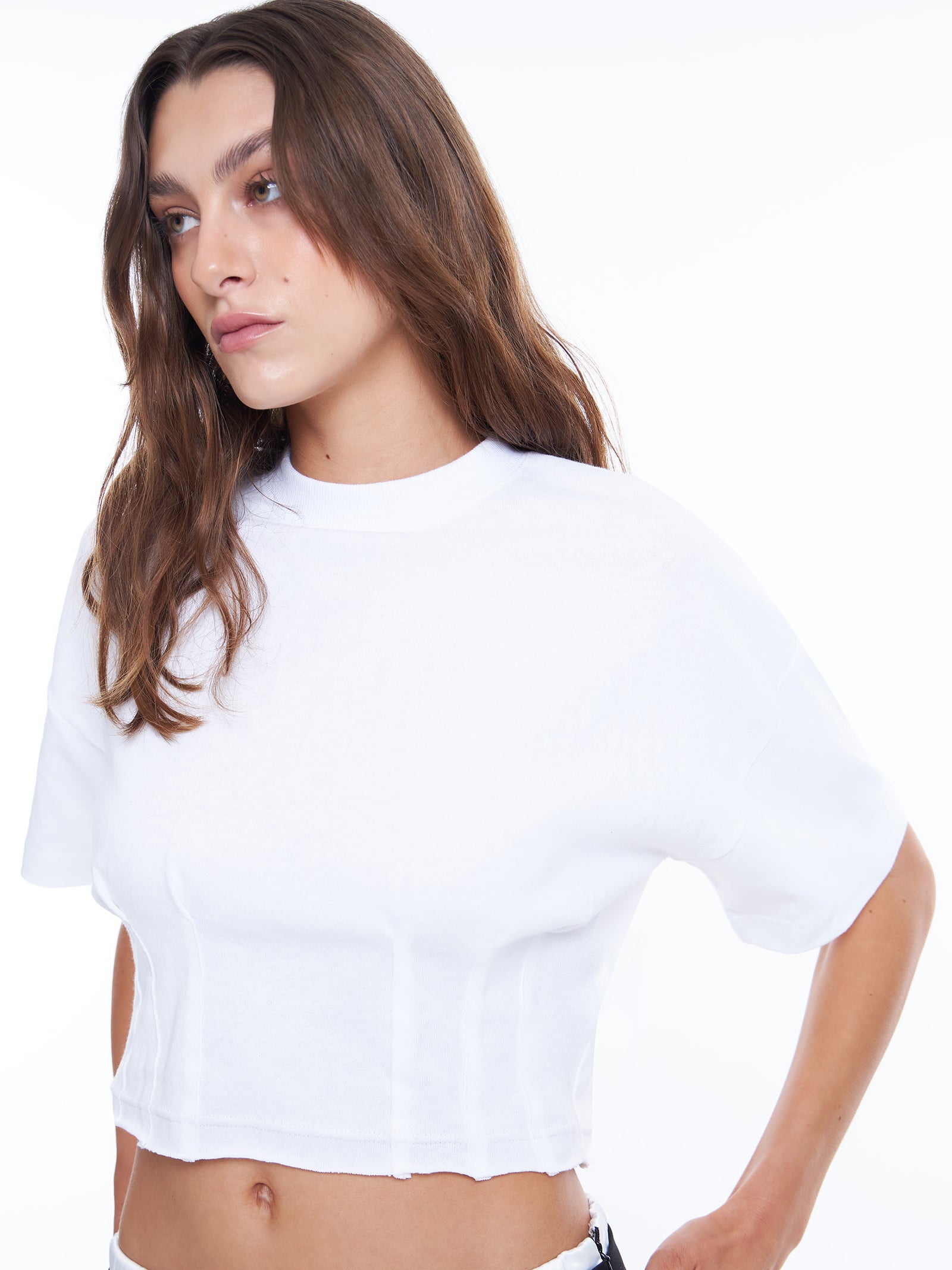 Standard Over Sized Cropped T-Shirt