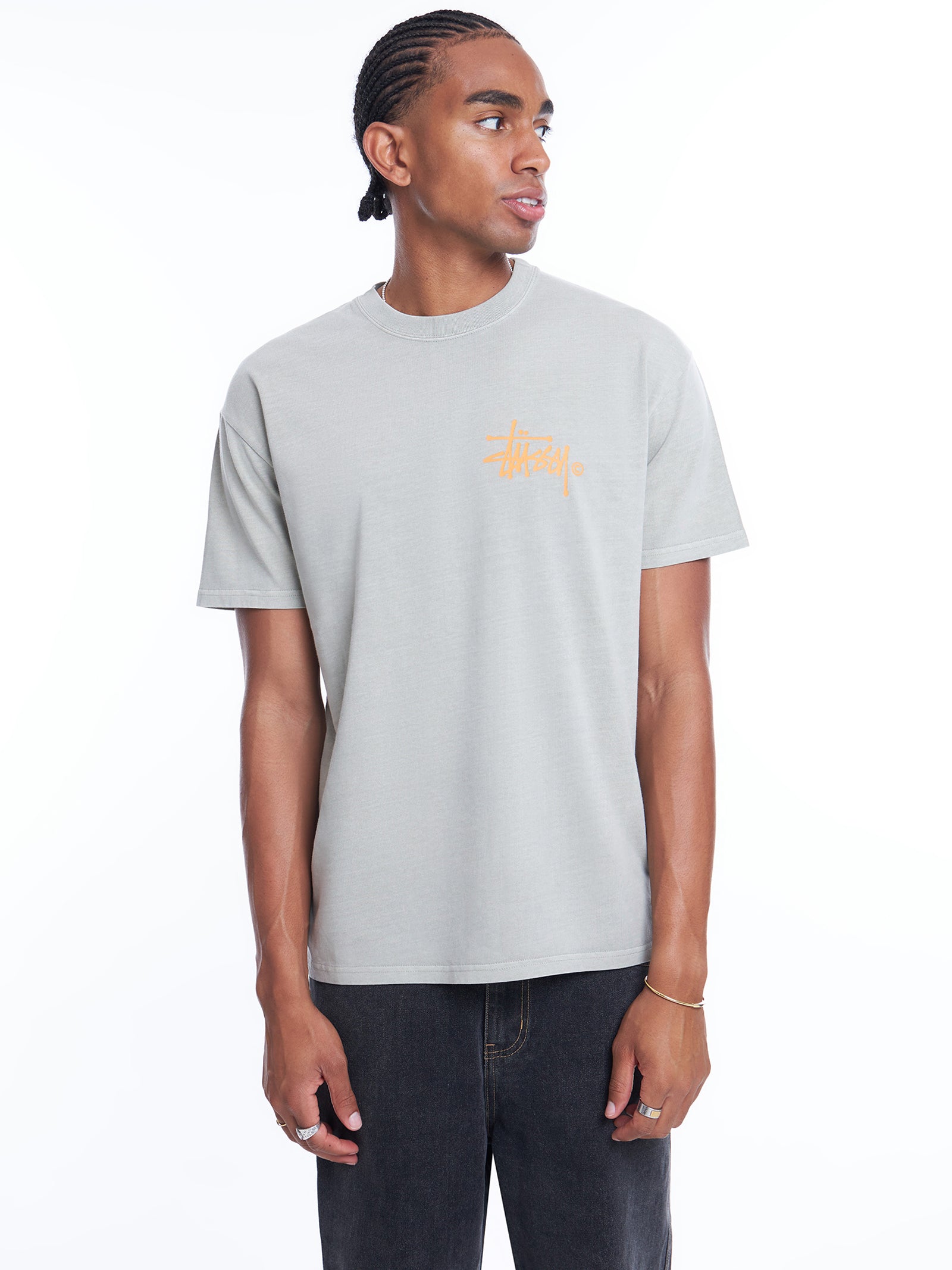 Pigment Heavyweight Shadow Graffitti T-Shirt in Stone