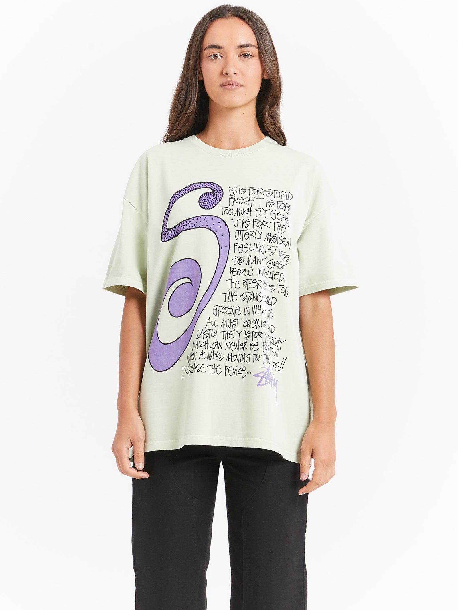 S Talk Heavyweight Relaxed T-Shirt in Pistachio Green