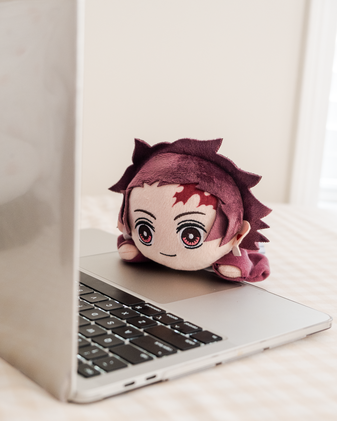 Warehouse Sale - Demon Slayer: Kimetsu no Yaiba Laying Down Mini Plush Vol.3