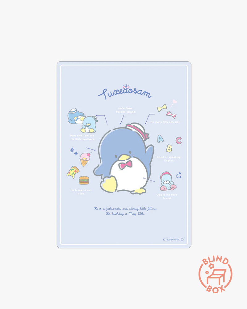 Sanrio Mini Poster Blind Bag