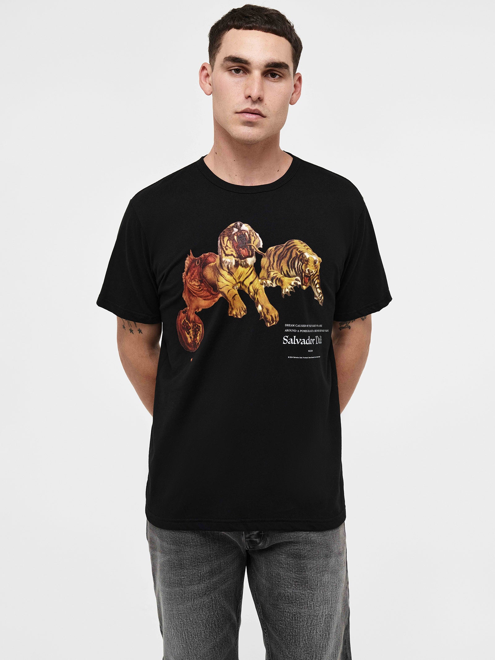 Dali Flight Tee