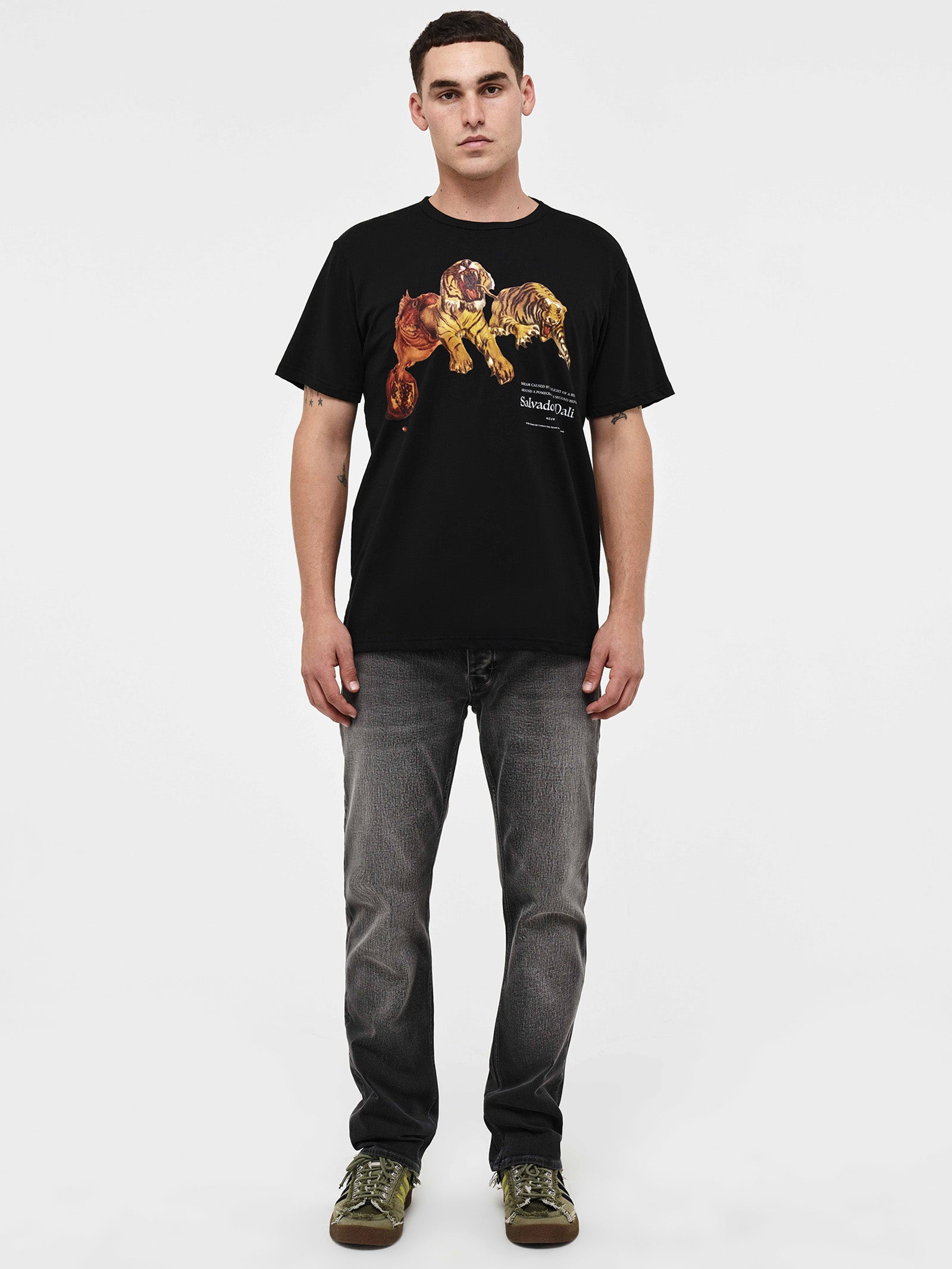 Dali Flight Tee